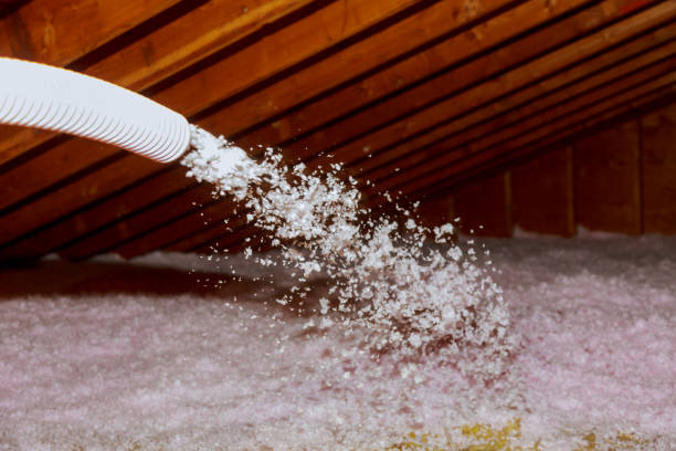 Best Cellulose Insulation in Wallis, TX