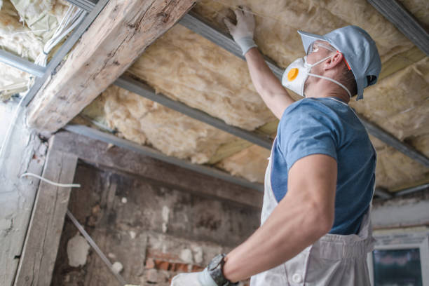 Best Spray Foam Insulation in Wallis, TX