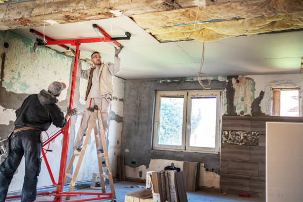 Best Geographic-Specific Insulation Services in Wallis, TX