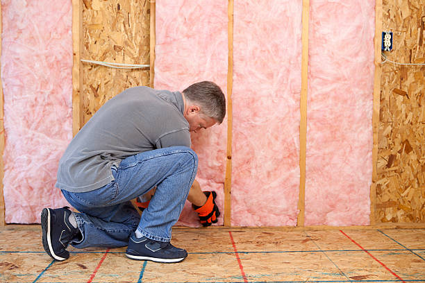 Best Commercial Insulation in Wallis, TX