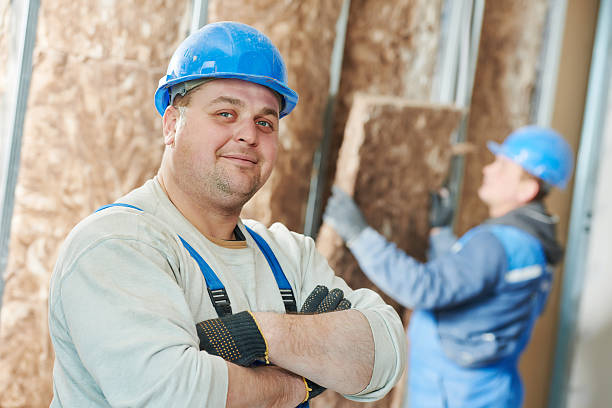 Best Energy Efficiency Insulation in Wallis, TX