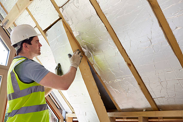 Best Geographic-Specific Insulation Services in Wallis, TX