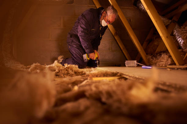 Best Spray Foam Insulation in Wallis, TX